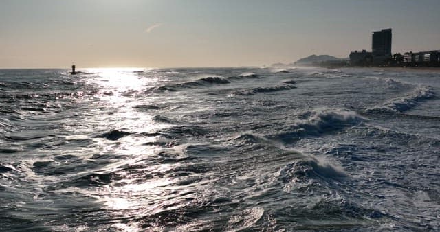 Seashore Scenery with Waves and Sunlight