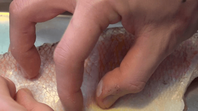 손으로 생선 비늘을 제거하는 사람