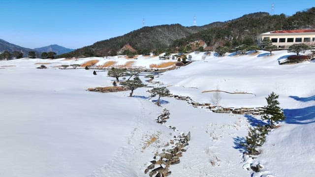 맑은 하늘과 눈 덮인 평화로운 풍경