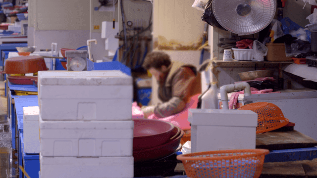 Merchants working at fish market