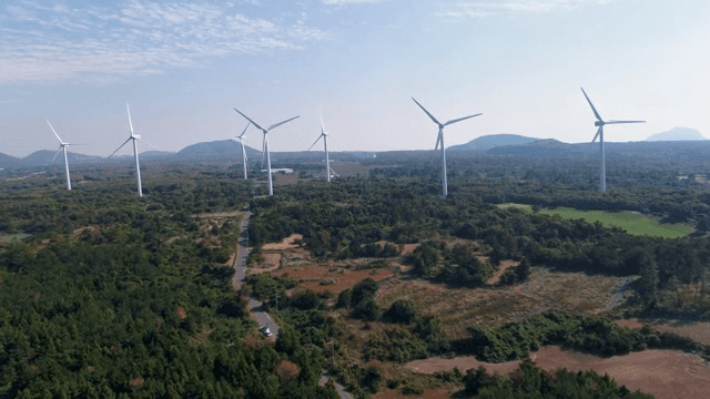 넓은 녹지에 있는 풍력 터빈