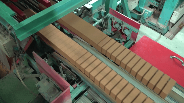 Bricks moving on a conveyor belt