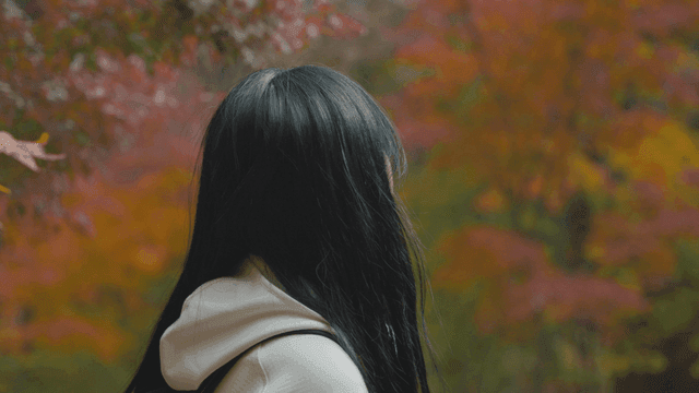 Woman enjoying autumn foliage and sunlight