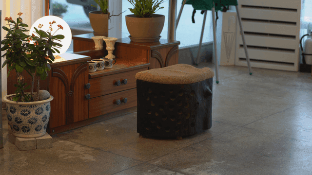 식물과 독특한 나무 가구가 있는 아늑한 실내 공간