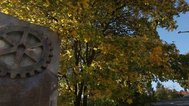 화창한 가을날의 단풍나무와 주황색 지붕의 건물