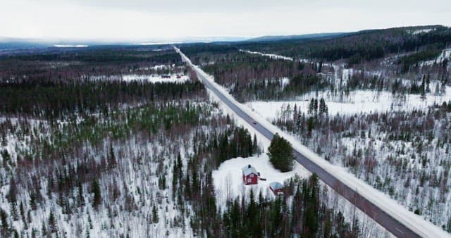 Snowy forest with a long road