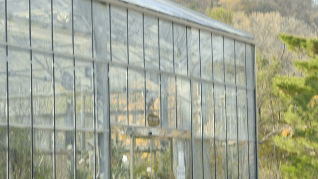 Greenhouse surrounded by tree