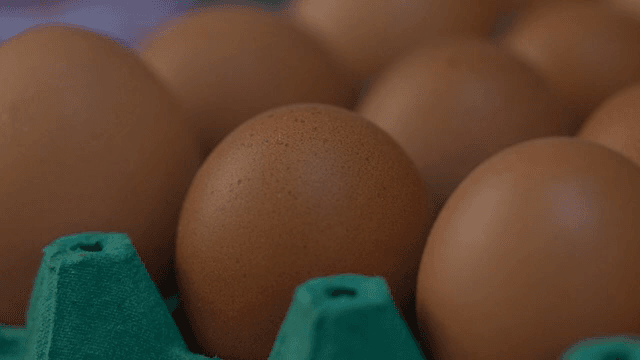 계란이 정렬된 상자