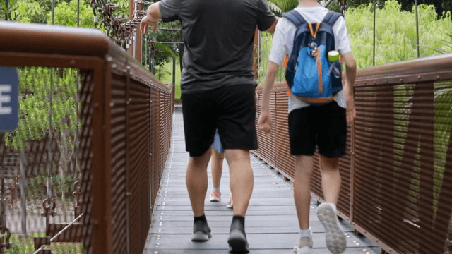 공원에서 다리를 걷는 사람들