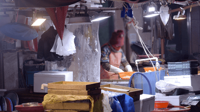 Person working at fish market stall