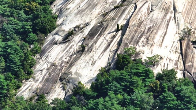 푸른 숲이 있는 광활한 불암산