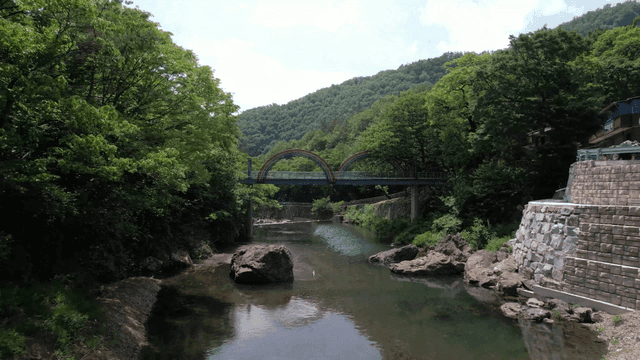다리와 푸른 숲이 있는 고요한 강