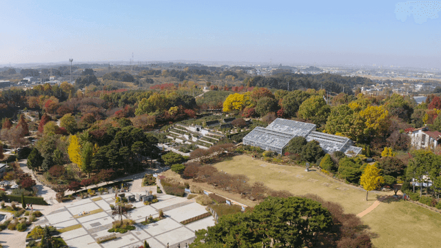 가을 단풍이 아름다운 공원