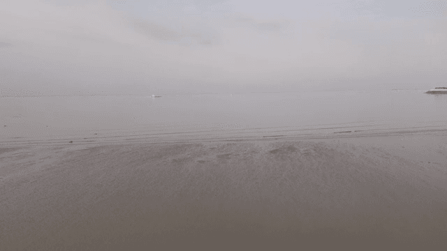 멀리 수평선이 보이는 고요한 해변