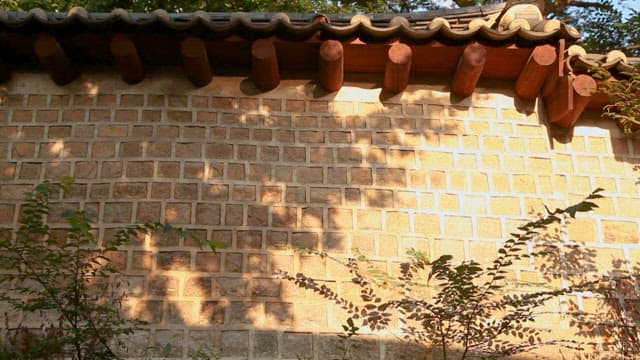 Traditional Korean Wall with Shadows of Trees