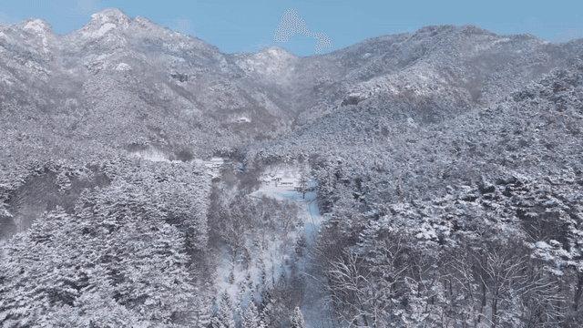 Snow-covered mountains and forest