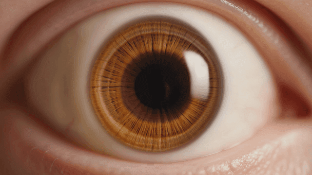 Detailed view of a human eye