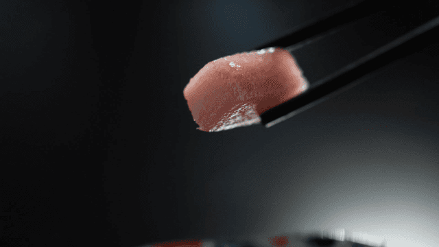 Pickled radish piece held with chopsticks