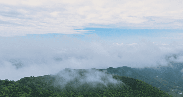 Misty mountains with lush green forests