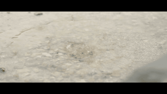 Sight of raindrops falling on surface of water