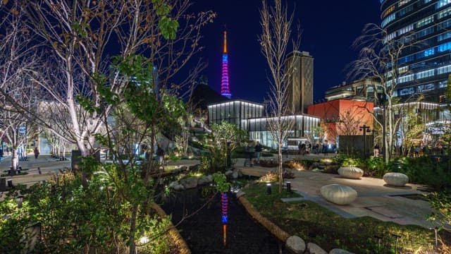 타워가 있는 도시 공원의 야경