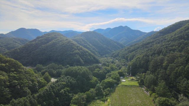 Lush mountain range with green rice fields