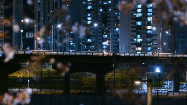 Night view of a city bridge and buildings