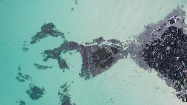 Aerial view of rocky coastline and clear sea