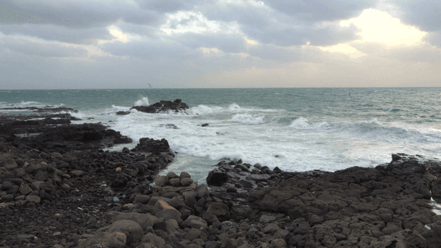 Rocky shoreline with crashing waves
