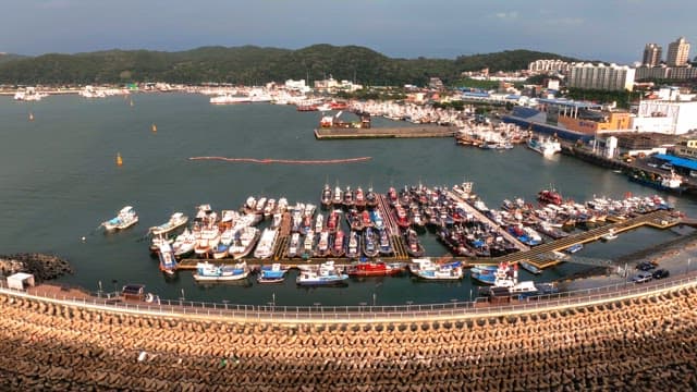 많은 배가 정박한 분주한 항구