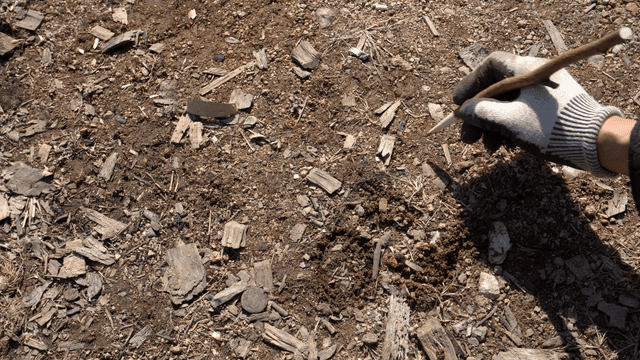 열필 모양의 나무 막대로 흙바닥에 글을 쓰는 손