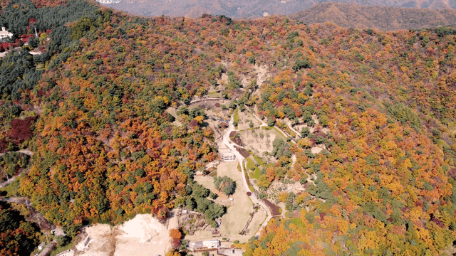 Aerial view of a colorful autumn forest