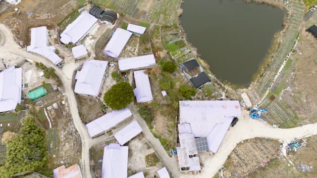 Rural village with fields and a pond