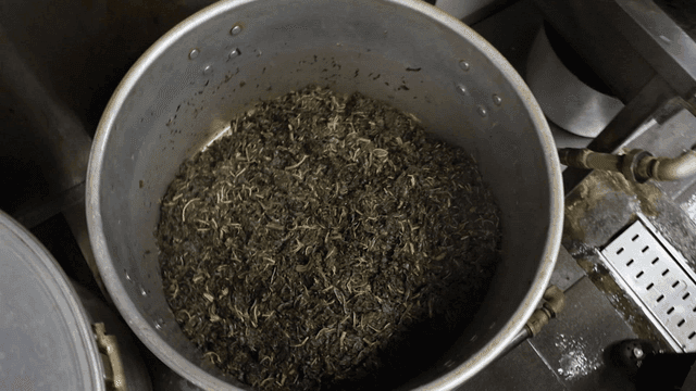 큰 냄비에 볶아진 아주까리