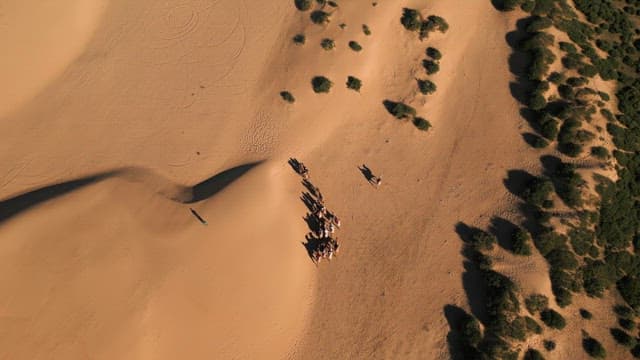 Group of people riding camels in the desert