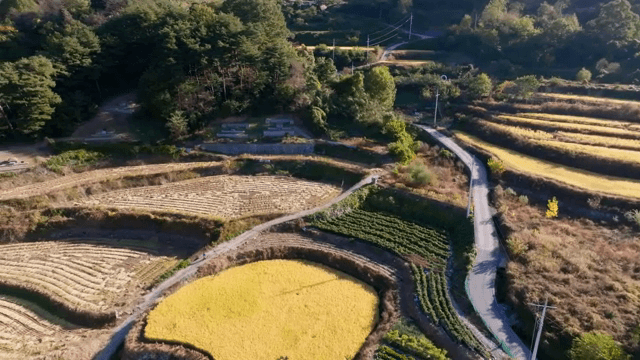 계단식 논과 시골 마을