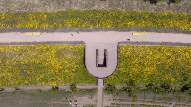 노란 꽃이 있는 공원의 항공 뷰