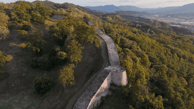 Ancient stone wall winding through lush forest