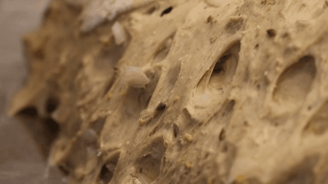 Dough with seeds and onions