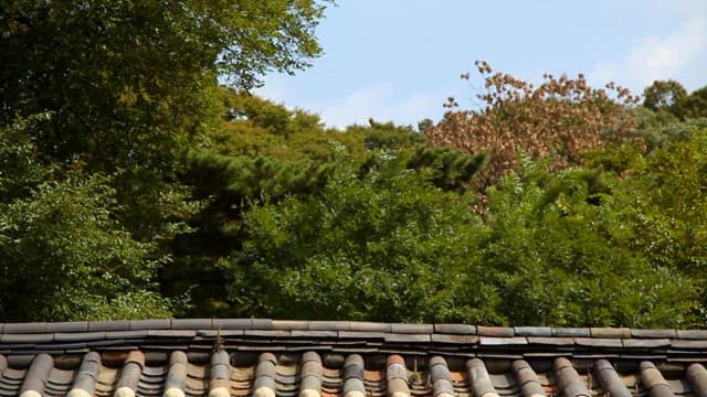 Traditional Korean Architecture and Nature