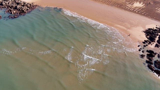 잔잔한 파도가 밀려드는 평화로운 해변가