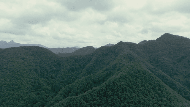 구름 낀 하늘 아래 푸른 산