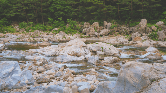 바위 사이로 흐르는 고요한 계곡