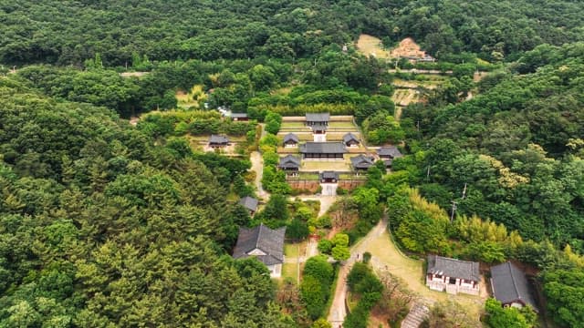 Traditional hanok village surrounded by green forest