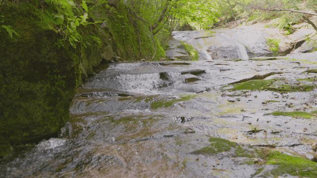 Gentle stream flowing over rocks