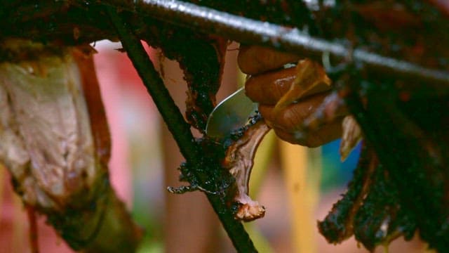 야외에서 구운 통돼지 바베큐를 자르는 모습