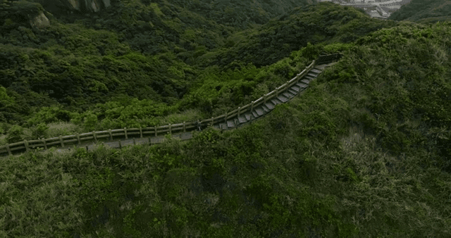 숲길을 걷는 사람