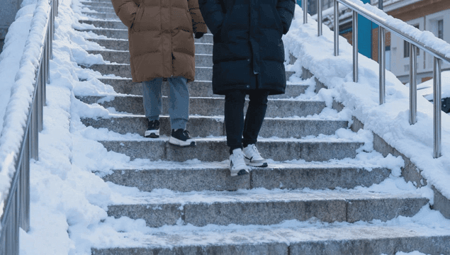 People walking down snowy steps