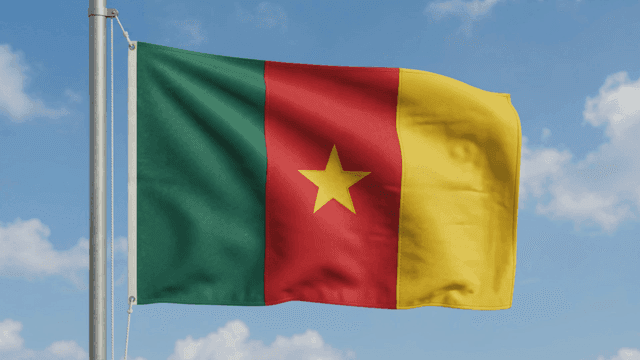 Cameroonian flag fluttering against clear sky