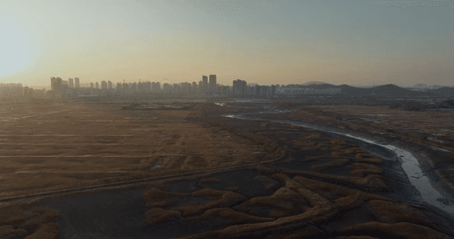 Sunset over a vast field and city skyline